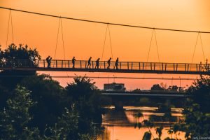 Rive du Cher mai 2023-4313 Photo de Tours 2 Lions